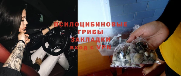 прущие крисы Абинск